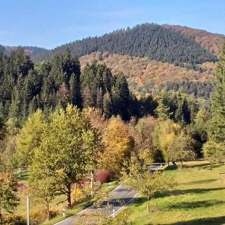Prázdninový dům Holiday Hunting Siedlinghausen *